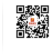 振亞球墨